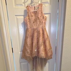 Beautiful Pink Rose Gold Shimmery Party Dress